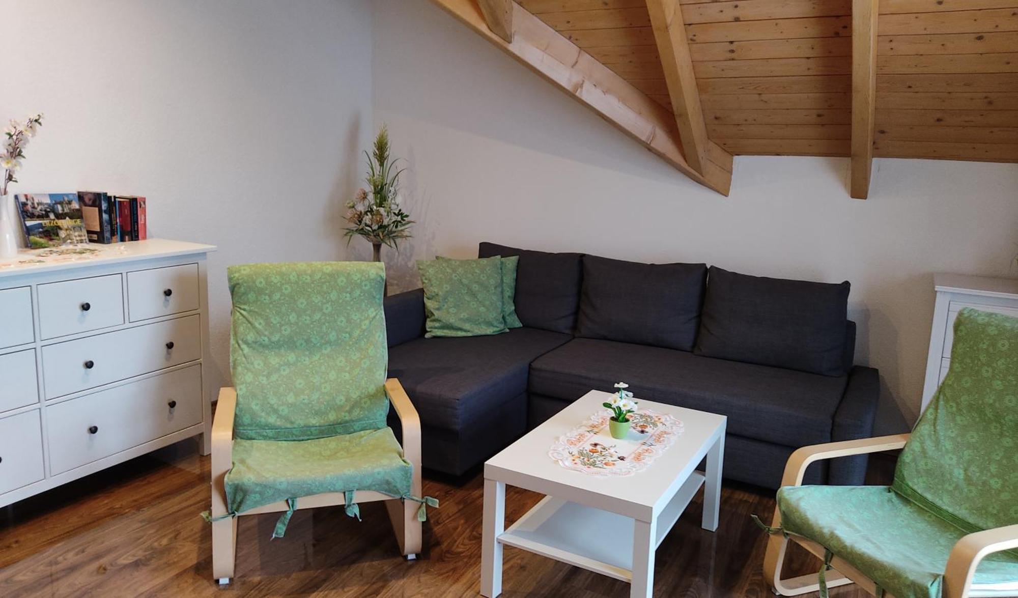 Gemuetliche Ferienwohnung Im Schoenen Erzgebirge - Wohnung Fruehling Eibenstock Exterior photo